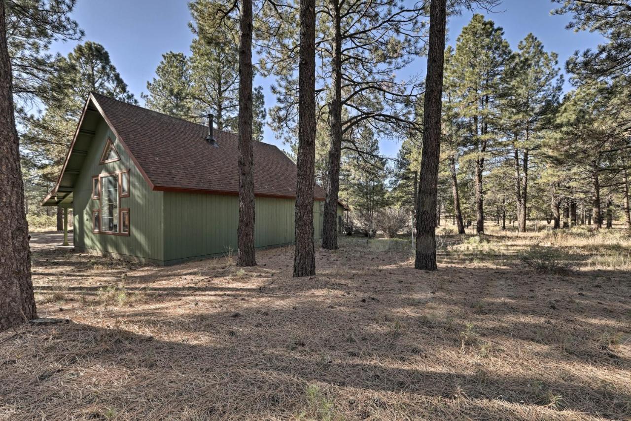 Family-Friendly Forested Home With Snow Play Area! Flagstaff Exteriör bild